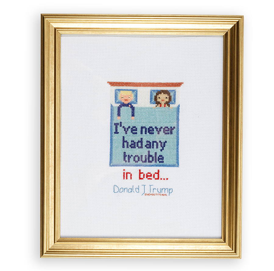 A crossstitch of Donald Trump in bed with a woman, with the quote on the sheets saying “I’ve never had any trouble...in bed.”