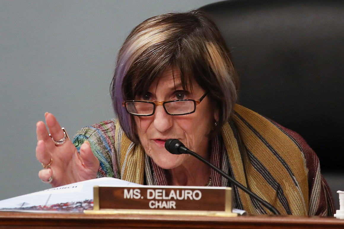 Rep. Rosa DeLauro, D-Conn., speaks during a Labor, Health and Human Services, Education, and Related Agencies Appropriations Subcommittee hearing about the COVID-19 response on Capitol Hill in Washington, Thursday, June 4, 2020 (Tasos Katopodis/Pool via AP)